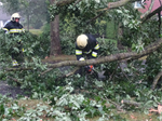 Prio 2 Stormschade Mr Andreaestraat Kollum